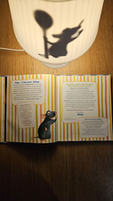 Livro de Receitas do Ratatui (Francês)