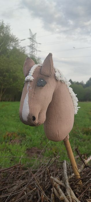Kucyk hobby horse