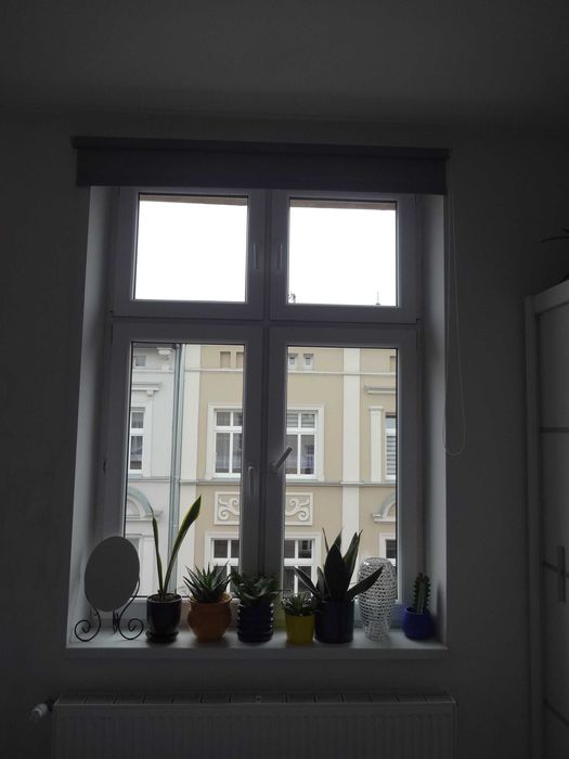 roleta szara 177x147