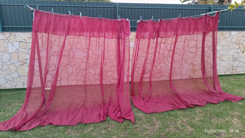 Cortinados transparentes  cor borgonha