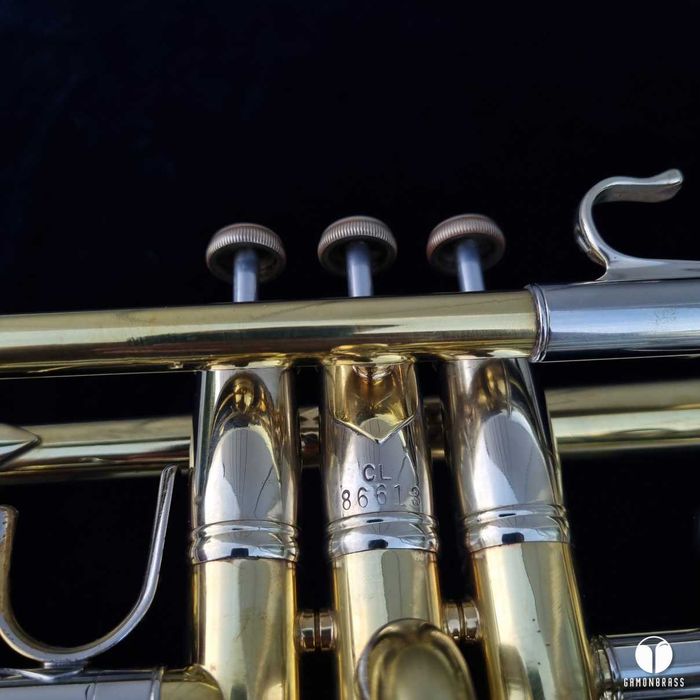 Dla Ciebie wszystko - bach stradivarius - w kategorii