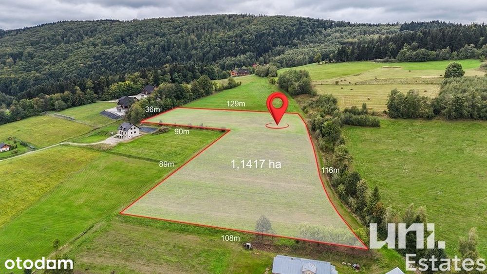 widok na jezioro | 1,14ha | agroturystyka | zobacz