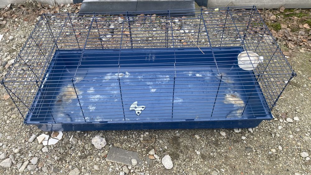 Duza klatka na swinke morska