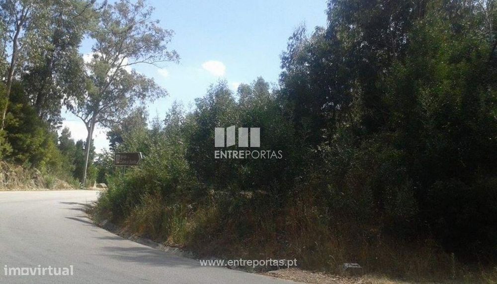 Venda Terreno, S. Miguel de Paredes, Penafiel