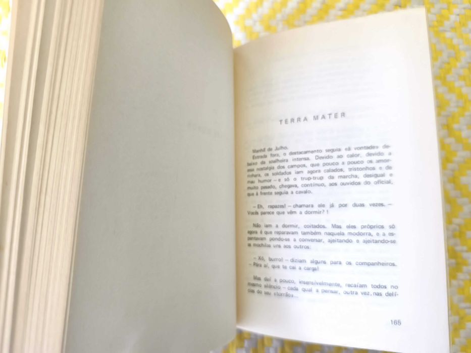 Os meus amores –  Trindade Coelho