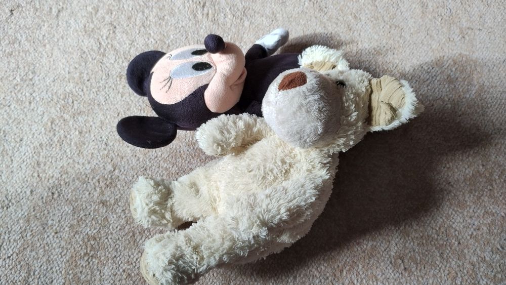 Myszka Miki oraz piesek tylko 10 złotych.