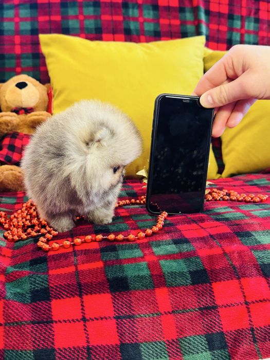 Фантастичний МІКРО хлопчик КСУ