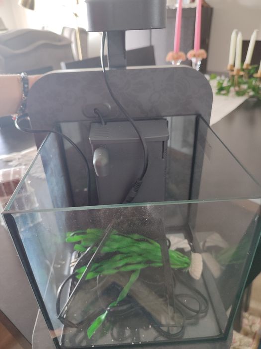 Aquário para peixes