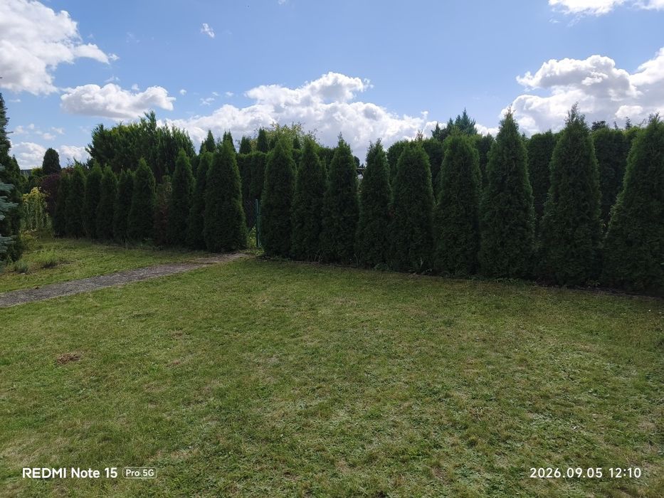 ROD Relaks - działka 295 m² - Widok 3