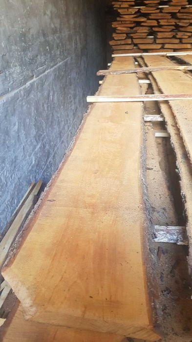 Дошка суха вільха