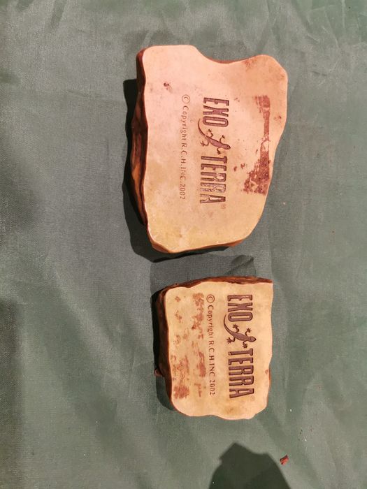 Comedouros + tronco para terrário