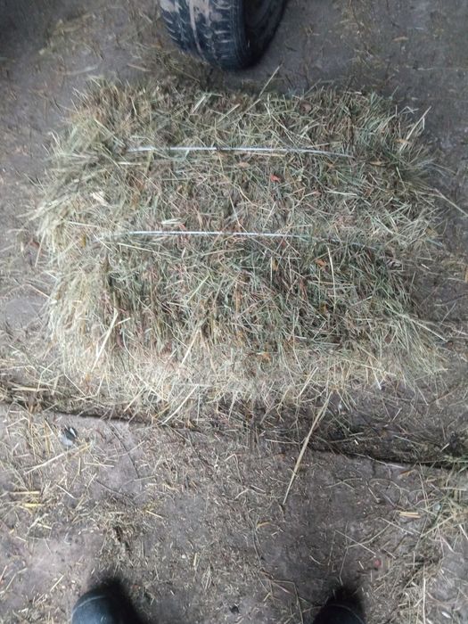 Siano i słoma w kostkach