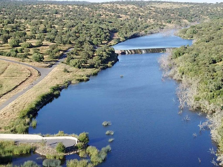 Herdade 12 ha Alentejo