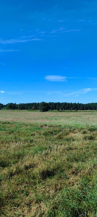 Sprzedam działkę rolną 4,56 ha w Łebień gm. Damnica - Widok 2