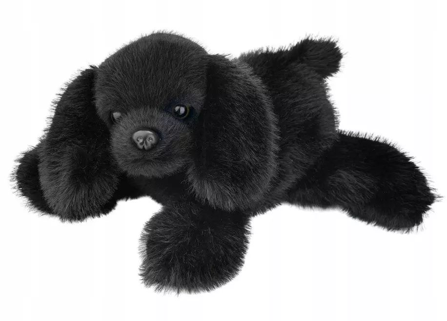 Pies czarny 28cm. Beppe