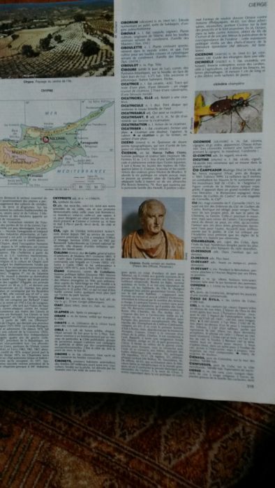 Dicionário francês