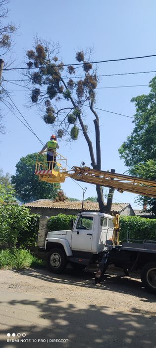 Покос трави кущів газонів Спил Аварійних дерев Автовышка Подрібнення г