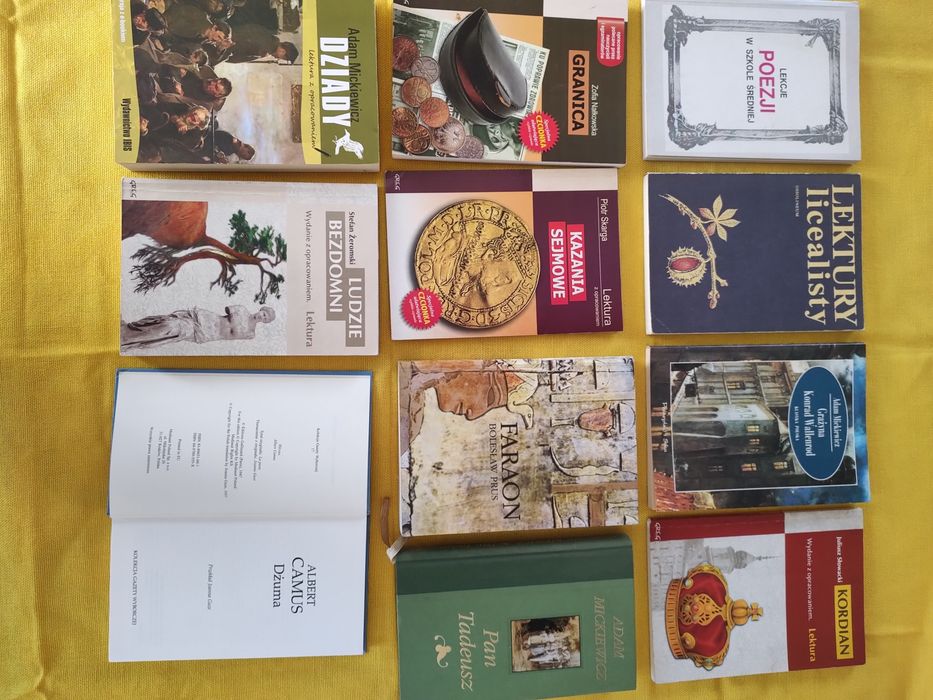 27 x Lektury w tym  16 dvd Wyborcza i 11 książek stan dvd idealny