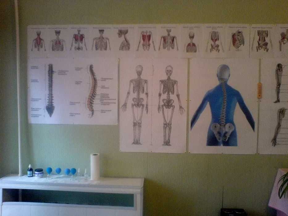 Профессиональный массажист-реабилитолог, мануальный терапевт.