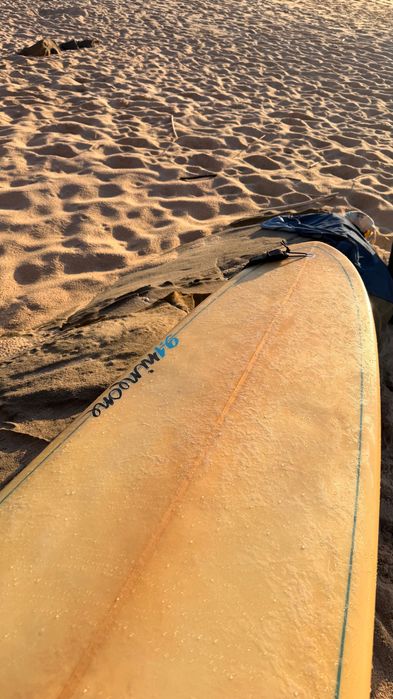 lufi surf longboard