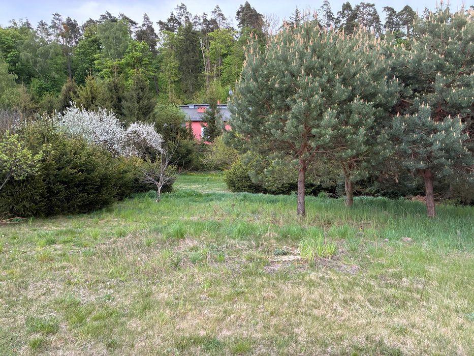 Działki budowlane 1000–1300 m².  Cisza + zieleń Kolonia Ostrowicka - Widok 3