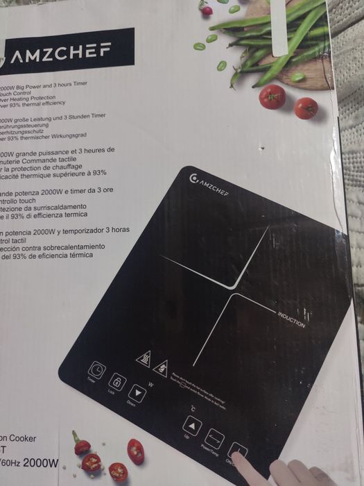 Індукційна електропдита, нова