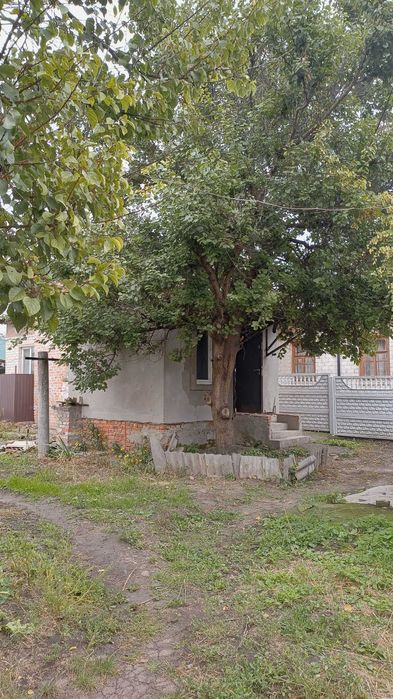 частина будинка на Лісковиці
