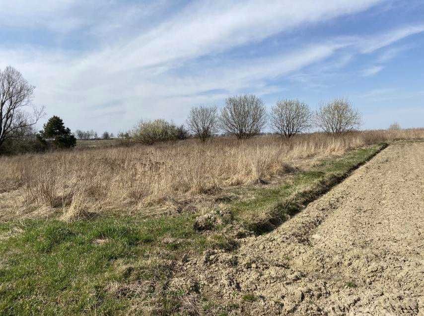 Продаж земельної ділянки під забудову Карачинів