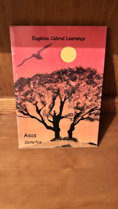 Lote Livros: História de Portugal e Dicionário Escolar