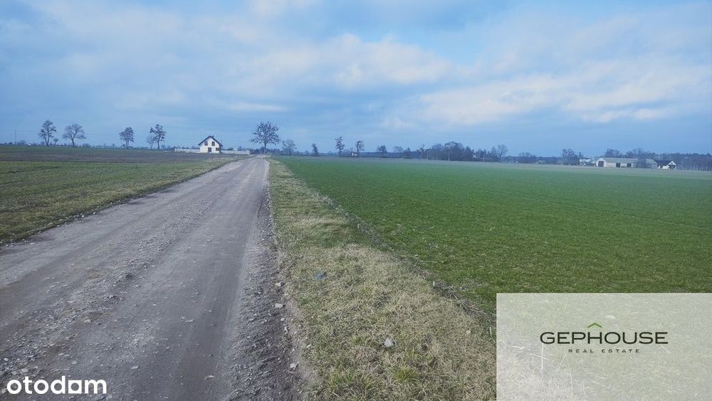 Działka z widokiem na las