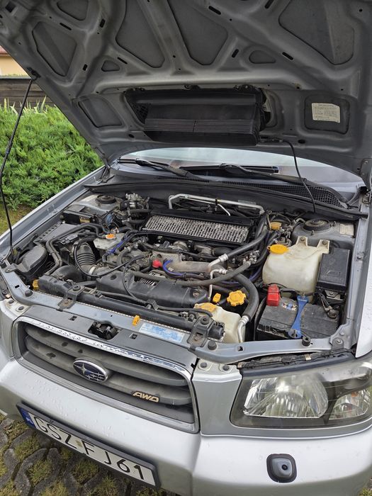 Subaru forester sg xt