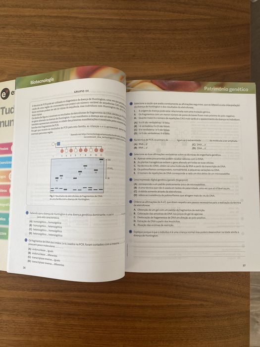Caderno de aividades “Odisseias 12”