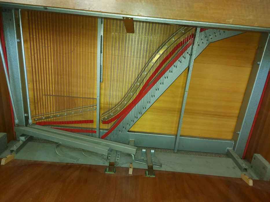 Pianino Shannon Lindner Ireland
