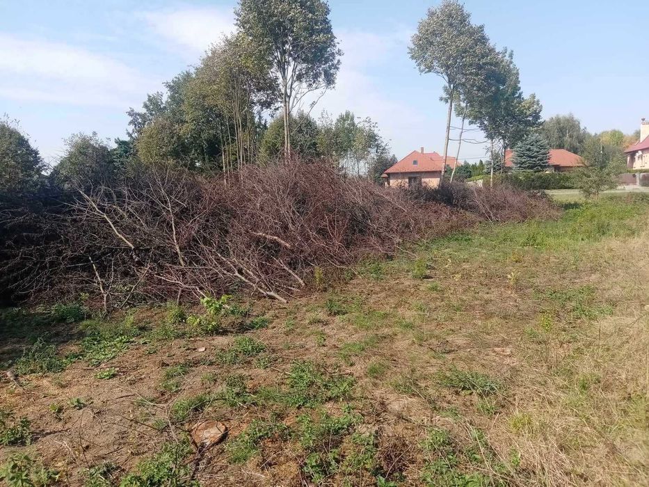 Po likwidacji sadu oddam na zrębkę dużą ilość gałęzi (200mx2,5mx3m)