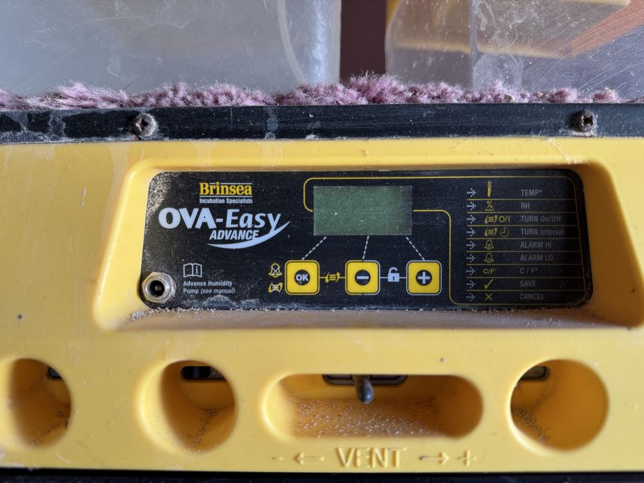 Incubadora Brinsea Ova-Easy Advance + Humidificador – Excelente Estado