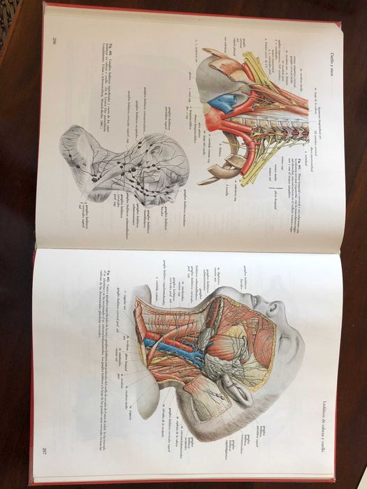 ATLAS de Anatomia Vol. 1 e 2