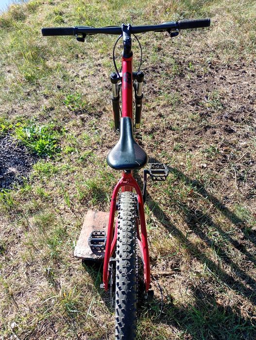 Bergamont Revox 3
