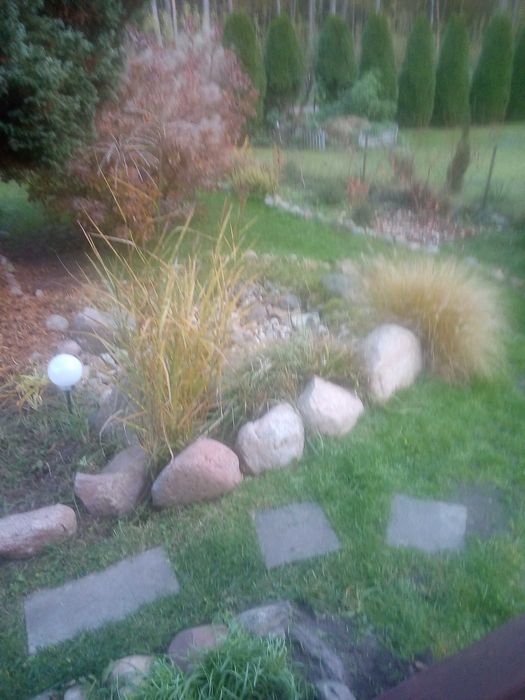 Działka ROD w Regnach