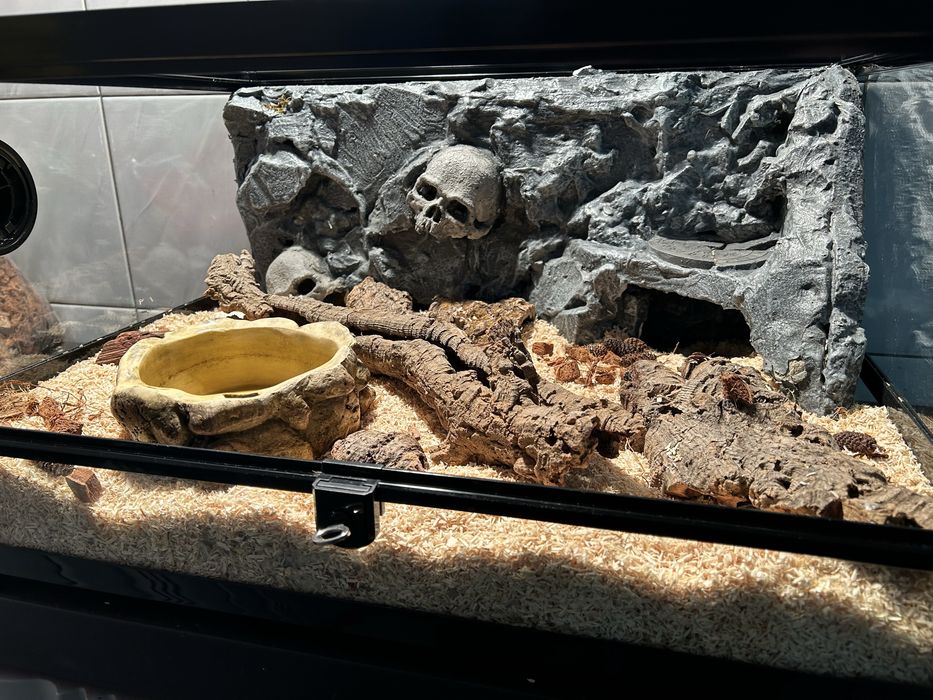 Sprzedam terrarium Repti-Zoo w komplecie ze ścianką