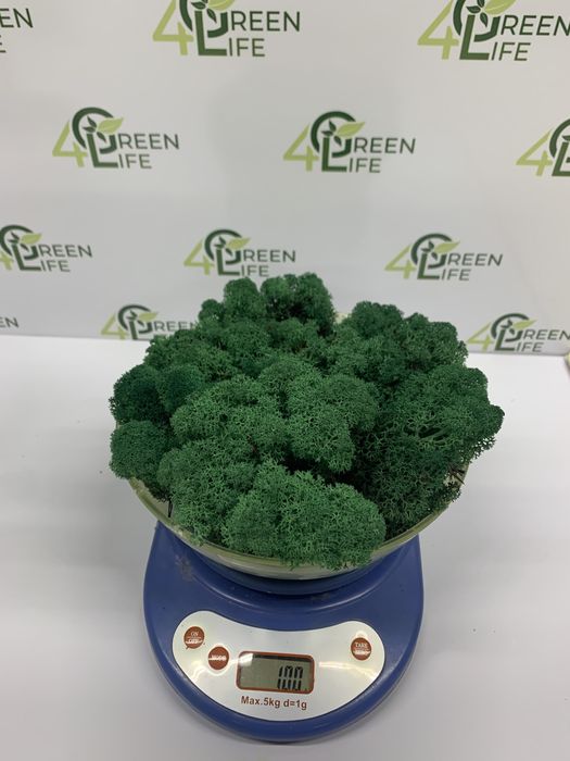 Мох стабілізований