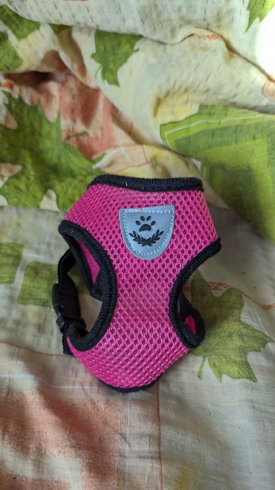 Ошейник для кота