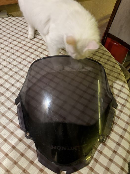 Вітровик Honda 650 Transalp