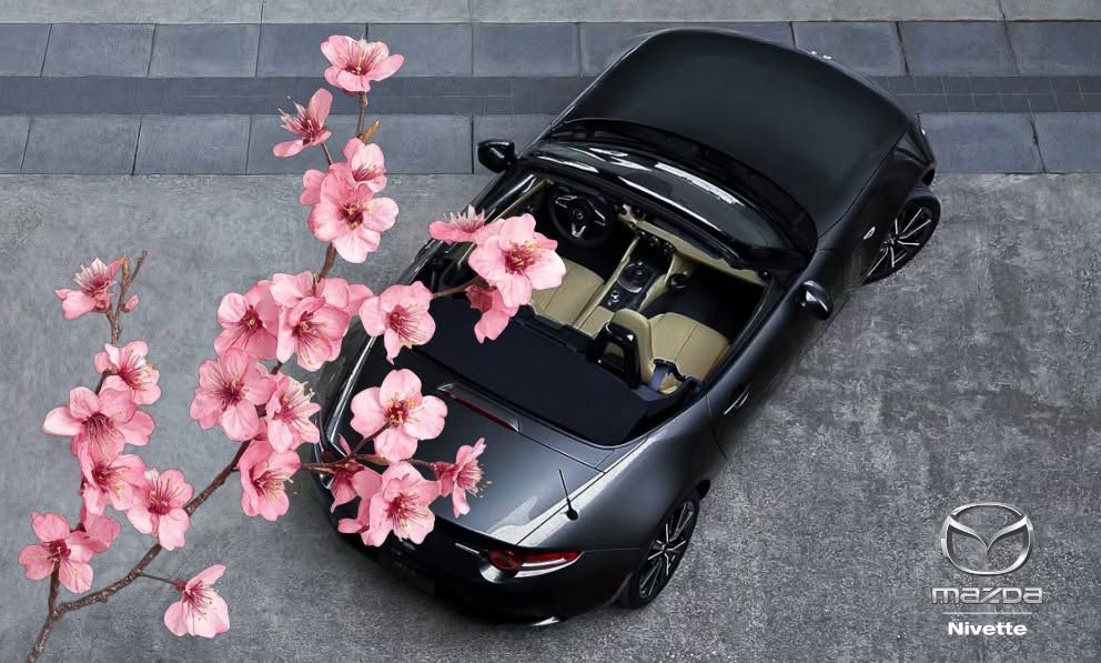 business-site-gallery-photo