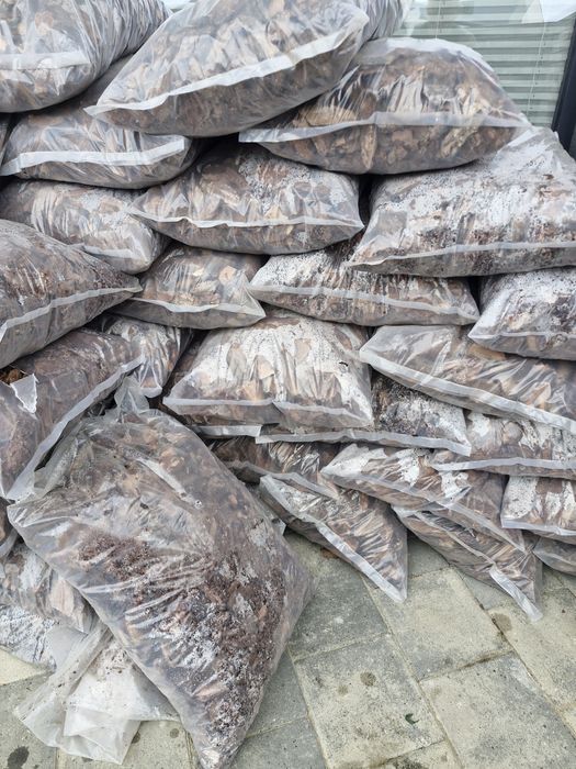 Продам кору для ландафтного дизайну