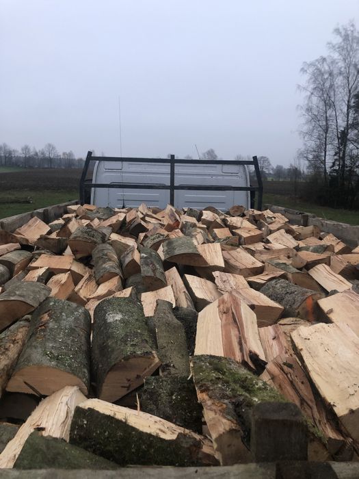 Drewno kominkowe , Drzewo, Opal, sezonowane i surowe