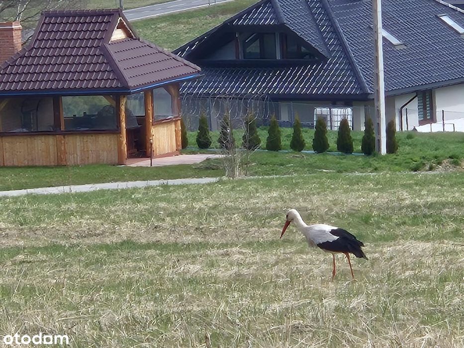 Wyjątkowa Działka Budowlana  1553 M2 Warunki Zabudowy! – Tarnawa Dolna