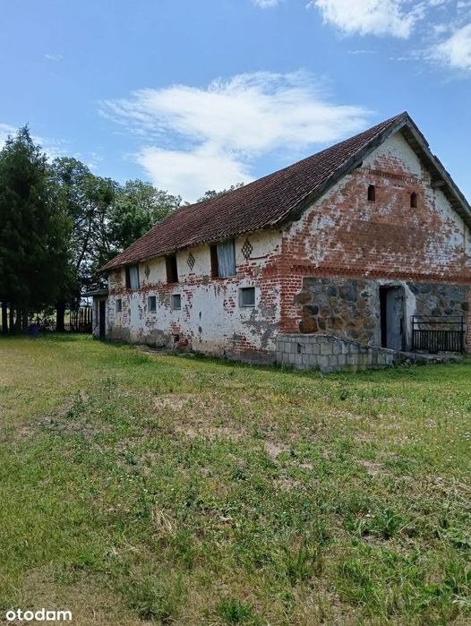 Gospodarstwo blisko lasu | 3,36 ha | Dom 125 m²