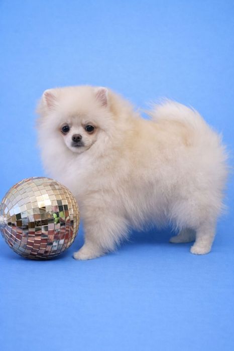 Супер мальчик Гучик