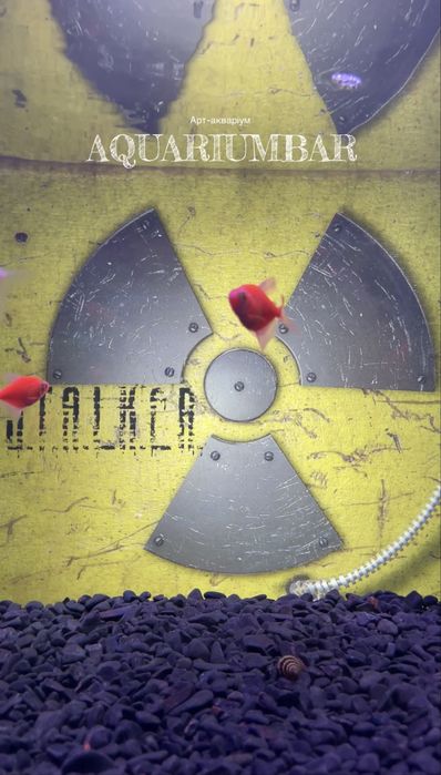 Акваріум Aquariumbar