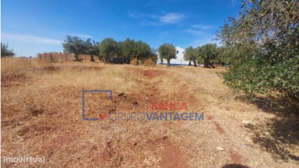 Lote de terreno urbano infraestruturado, destinado à construção de...